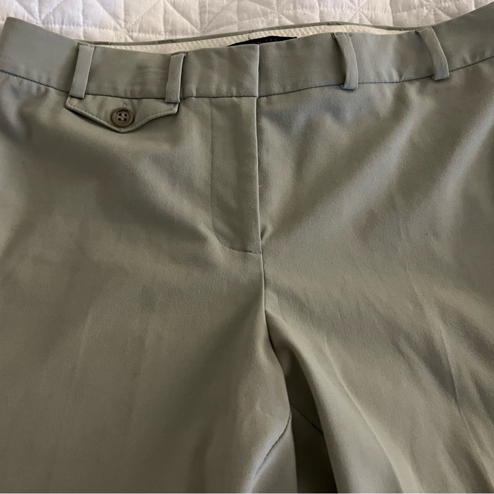 The Limited Stretch Pants
